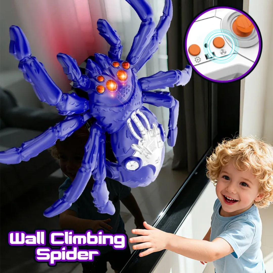 Wall Climbing Rc Robot Animal Spider Toys